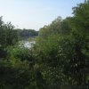 finnek 2011 014